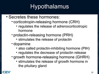29
Hypothalamus
• Secretes these hormones:
−corticotropin-releasing hormone (CRH)
• regulates the release of adrenocorticotropic
hormone
−prolactin-releasing hormone (PRH)
• stimulates the release of prolactin
−dopamine
• also called prolactin-inhibiting hormone (PIH)
• regulates the decrease of prolactin release
−growth hormone-releasing hormone (GHRH)
• stimulates the release of growth hormone in
the pituitary gland
 