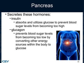33
Pancreas
• Secretes these hormones:
−insulin
• absorbs and utilizes glucose to prevent blood
sugar levels from becoming too high
−glucagon
• prevents blood sugar levels
from becoming too low by
converting other energy
sources within the body to
glucose
 