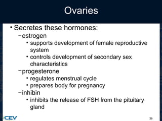 36
Ovaries
• Secretes these hormones:
−estrogen
• supports development of female reproductive
system
• controls development of secondary sex
characteristics
−progesterone
• regulates menstrual cycle
• prepares body for pregnancy
−inhibin
• inhibits the release of FSH from the pituitary
gland
 