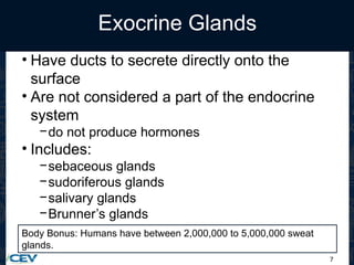7
Exocrine Glands
• Have ducts to secrete directly onto the
surface
• Are not considered a part of the endocrine
system
−do not produce hormones
• Includes:
−sebaceous glands
−sudoriferous glands
−salivary glands
−Brunner’s glands
Body Bonus: Humans have between 2,000,000 to 5,000,000 sweat
glands.
 