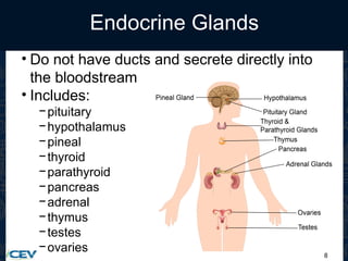 8
Endocrine Glands
• Do not have ducts and secrete directly into
the bloodstream
• Includes:
−pituitary
−hypothalamus
−pineal
−thyroid
−parathyroid
−pancreas
−adrenal
−thymus
−testes
−ovaries
 
