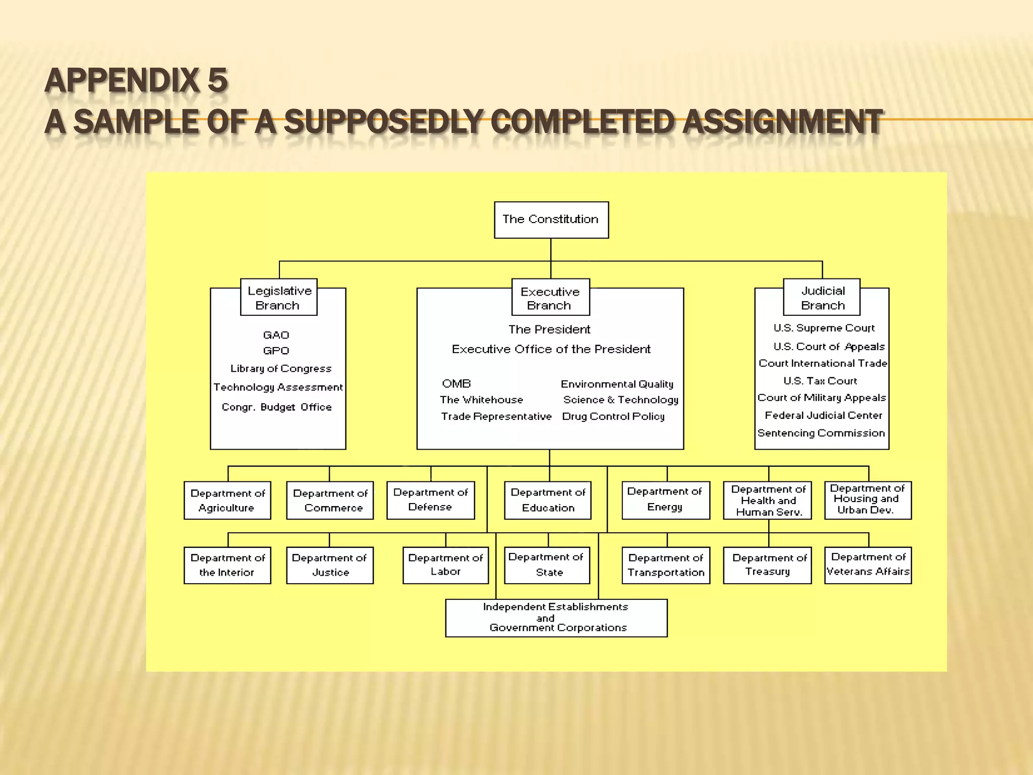 APPENDIX 5
A SAMPLE OF A SUPPOSEDLY COMPLETED ASSIGNMENT
 