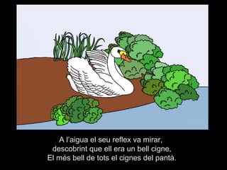 A l’aigua el seu reflex va mirar,
 descobrint que ell era un bell cigne,
El més bell de tots el cignes del pantà.
 