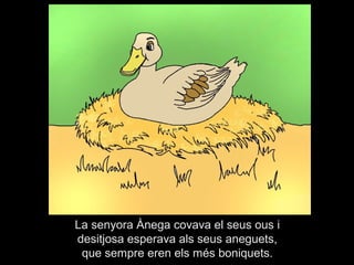 La senyora Ànega covava el seus ous i
desitjosa esperava als seus aneguets,
 que sempre eren els més boniquets.
 
