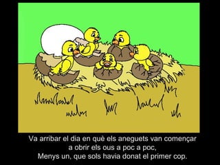 Va arribar el dia en què els aneguets van començar
             a obrir els ous a poc a poc,
  Menys un, que sols havia donat el primer cop.
 