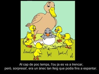 Al cap de poc temps, l'ou ja es va a trencar,
però, sorpresa!, era un ànec tan lleig que podia fins a espantar.
 
