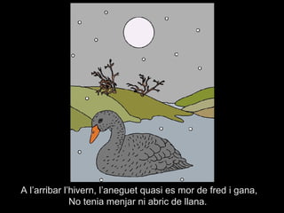 A l’arribar l’hivern, l’aneguet quasi es mor de fred i gana,
              No tenia menjar ni abric de llana.
 