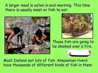 A larger meal is eaten in mid-morning. This time
there is usually meat or fish to eat.
Most Indians eat lots of fish. Amazonian rivers
have thousands of different kinds of fish in them.
These fish are going to
be smoked over a fire.
 