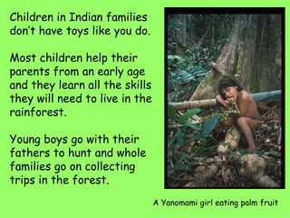 Children in Indian families
don’t have toys like you do.
Most children help their
parents from an early age
and they learn all the skills
they will need to live in the
rainforest.
Young boys go with their
fathers to hunt and whole
families go on collecting
trips in the forest.
A Yanomami girl eating palm fruit
 