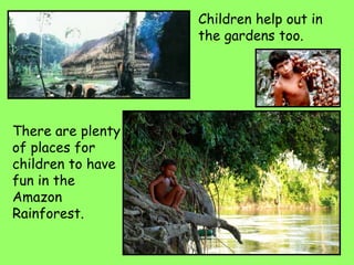 There are plenty
of places for
children to have
fun in the
Amazon
Rainforest.
Children help out in
the gardens too.
 