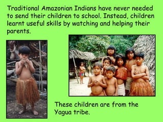Traditional Amazonian Indians have never needed
to send their children to school. Instead, children
learnt useful skills by watching and helping their
parents.
These children are from the
Yagua tribe.
 