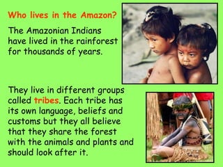 Who lives in the Amazon?
The Amazonian Indians
have lived in the rainforest
for thousands of years.
They live in different groups
called tribes. Each tribe has
its own language, beliefs and
customs but they all believe
that they share the forest
with the animals and plants and
should look after it.
 