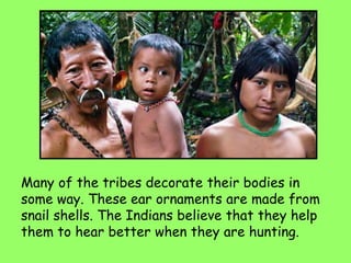 Many of the tribes decorate their bodies in
some way. These ear ornaments are made from
snail shells. The Indians believe that they help
them to hear better when they are hunting.
 