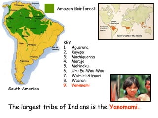 South America
Amazon Rainforest
KEY
1. Aguaruna
2. Kayapo
3. Machiguenga
4. Marajo
5. Mehinaku
6. Uru-Eu-Wau-Wau
7. Waimiri-Atroari
8. Waorani
9. Yanomami
The largest tribe of Indians is the Yanomami.
 