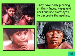 They have body piercing
on their faces, noses and
ears and use plant dyes
to decorate themselves.
 