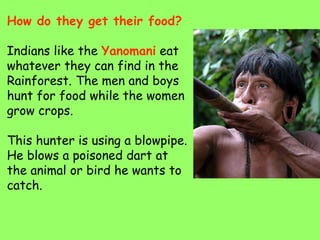 How do they get their food?
Indians like the Yanomani eat
whatever they can find in the
Rainforest. The men and boys
hunt for food while the women
grow crops.
This hunter is using a blowpipe.
He blows a poisoned dart at
the animal or bird he wants to
catch.
 