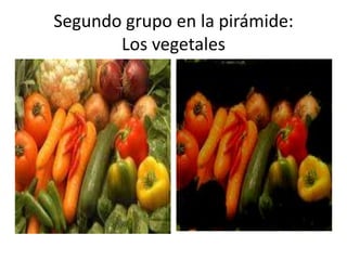 Segundo grupo en la pirámide:
       Los vegetales
 