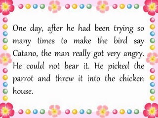 One day, after he had been trying so
many times to make the bird say
Catano, the man really got very angry.
He could not bear it. He picked the
parrot and threw it into the chicken
house.
 
