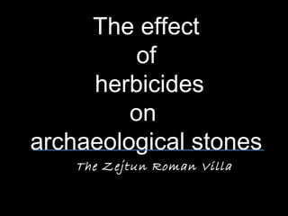 The effect
          of
     herbicides
         on
archaeological stones
    The Zejtun Roman Villa
 