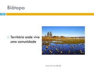 Powerpoint Nr. 2 InteracçõEs Seres Vivos Ambiente