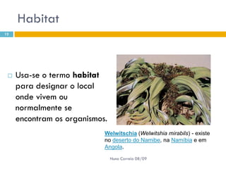 Powerpoint Nr. 2 InteracçõEs Seres Vivos Ambiente