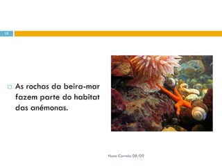 Powerpoint Nr. 2 InteracçõEs Seres Vivos Ambiente