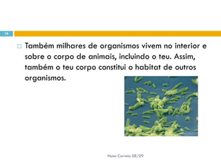 Powerpoint Nr. 2 InteracçõEs Seres Vivos Ambiente