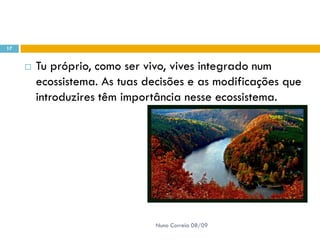 Powerpoint Nr. 2 InteracçõEs Seres Vivos Ambiente