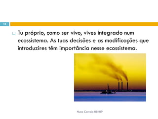 Powerpoint Nr. 2 InteracçõEs Seres Vivos Ambiente