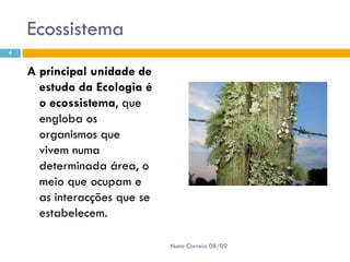 Powerpoint Nr. 2 InteracçõEs Seres Vivos Ambiente