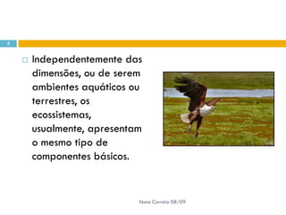Powerpoint Nr. 2 InteracçõEs Seres Vivos Ambiente