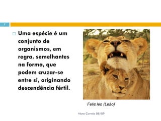 Powerpoint Nr. 2 InteracçõEs Seres Vivos Ambiente