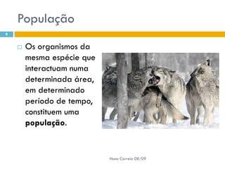 Powerpoint Nr. 2 InteracçõEs Seres Vivos Ambiente