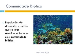 Powerpoint Nr. 2 InteracçõEs Seres Vivos Ambiente