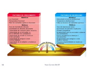 Crescimento das Populações