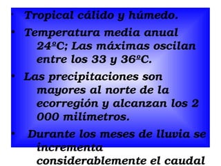 §
●

●

●

Tropical cálido y húmedo.
Temperatura media anual  
24ºC; Las máximas oscilan 
entre los 33 y 36ºC. 
Las precipitaciones son 
mayores al norte de la 
ecorregión y alcanzan los 2 
000 milímetros.
 Durante los meses de lluvia se 
incrementa 
considerablemente el caudal 

 