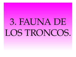 3. FAUNA DE 
LOS TRONCOS.

 