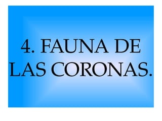 4. FAUNA DE 
LAS CORONAS.

 