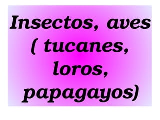 Insectos, aves 
( tucanes, 
loros, 
papagayos)

 