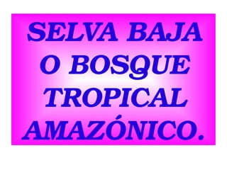 SELVA BAJA 
O BOSQUE 
TROPICAL 
AMAZÓNICO.

 