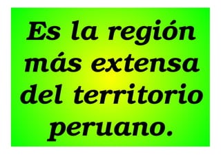 Es la región 
más extensa 
del territorio 
peruano.

 