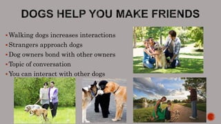 Walking dogs increases interactions
Strangers approach dogs
Dog owners bond with other owners
Topic of conversation
You can interact with other dogs