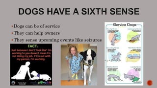 Dogs can be of service
They can help owners
They sense upcoming events like seizures