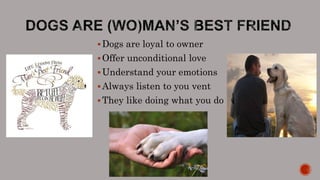 Dogs are loyal to owner
Offer unconditional love
Understand your emotions
Always listen to you vent
They like doing what you do