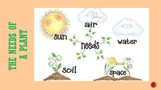 THENEEDSOF
APLANT
 