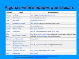 Algunas enfermedades que causan:




    El texto está disponible bajo la Licencia Creative Commons Atribución Compartir Igual 3.0;
    Wikipedia® es una marca registrada de la Fundación Wikimedia, Inc.,
 