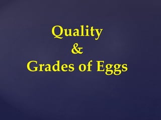 Quality
&
Grades of Eggs
 