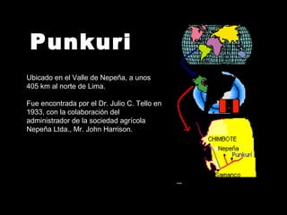 Punkuri Ubicado en el Valle de Nepeña, a unos 405 km al norte de Lima. Fue encontrada por el Dr. Julio C. Tello en 1933, con la colaboración del administrador de la sociedad agrícola Nepeña Ltda., Mr. John Harrison. 