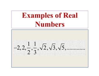 Examples Of Non Real Number