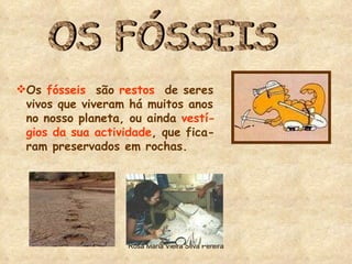 OS FÓSSEIS Os  fósseis   são  restos   de seres  vivos que viveram há muitos anos no nosso planeta, ou ainda  vestí- gios da sua actividade , que fica- ram preservados em rochas. 